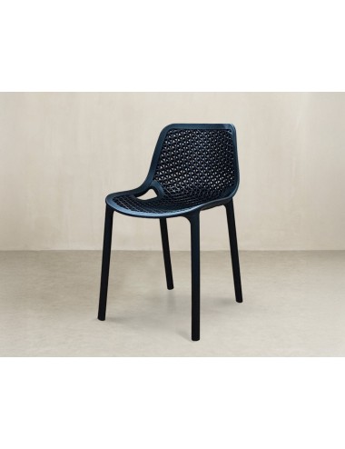 Silla Tossa negra